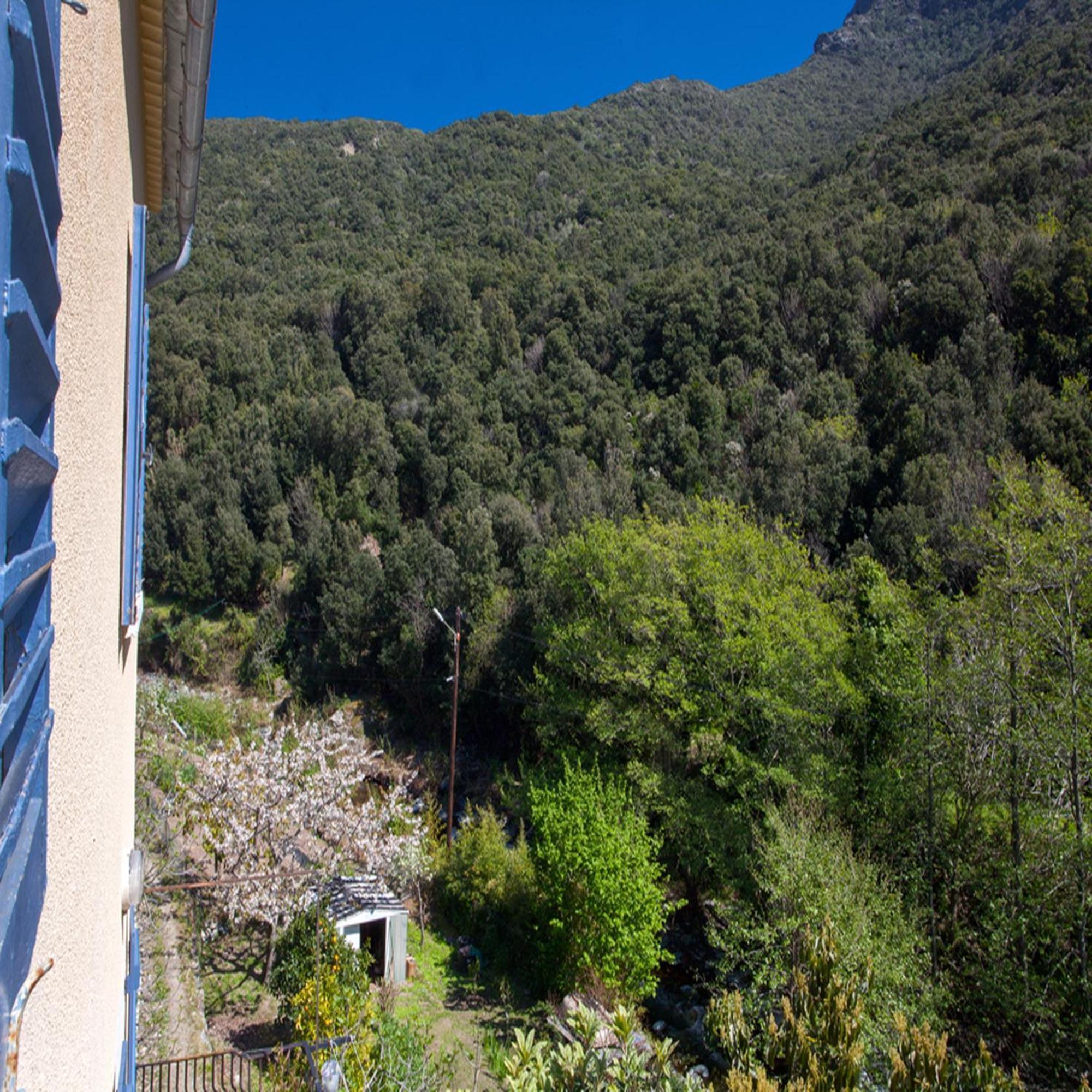 Les Gites Du Cap Corse Нонза Стая снимка